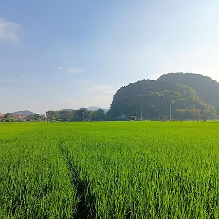 Tam Coc Sunshine Homestay Ninh Binh Bagian luar foto