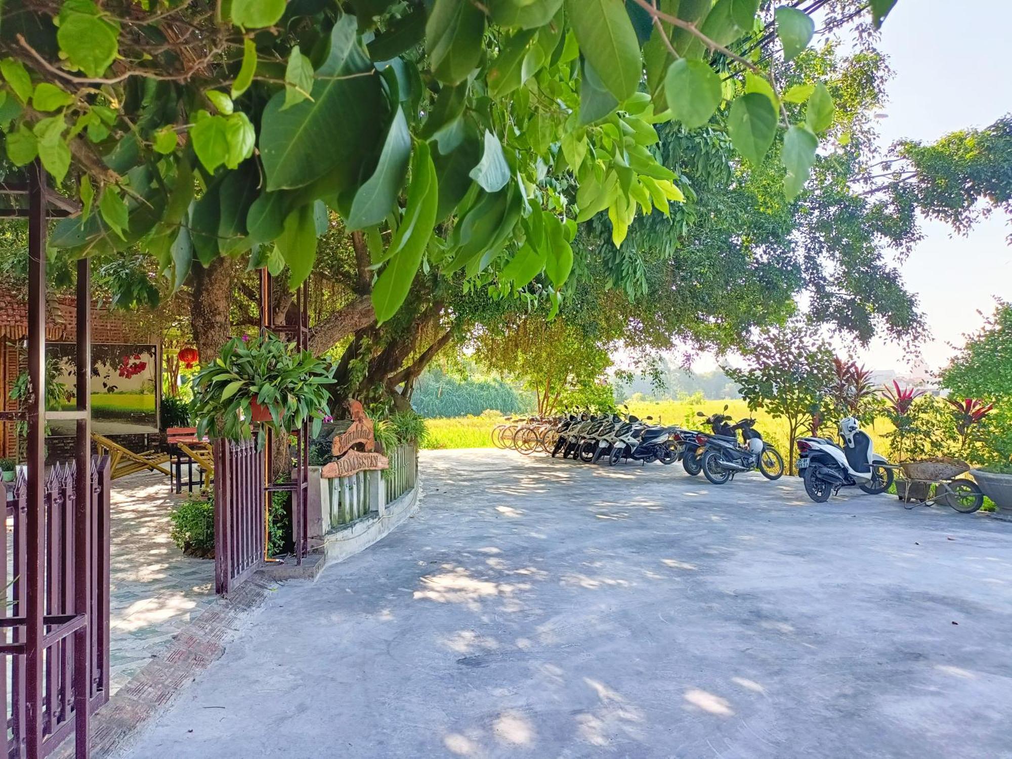 Tam Coc Sunshine Homestay Ninh Binh Bagian luar foto