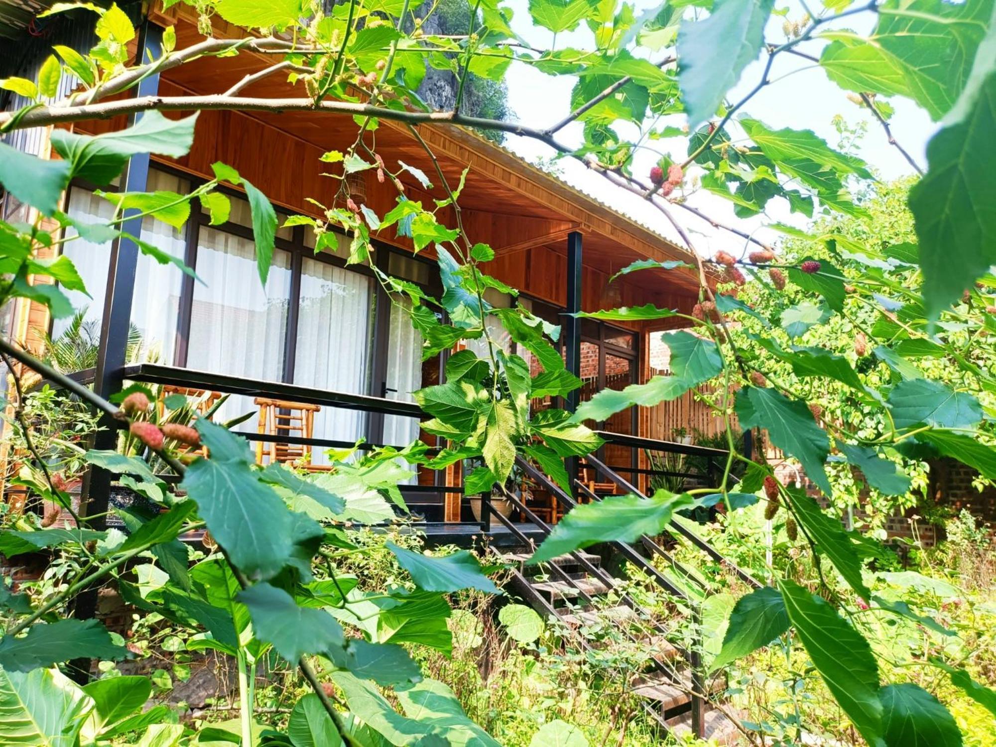 Tam Coc Sunshine Homestay Ninh Binh Bagian luar foto