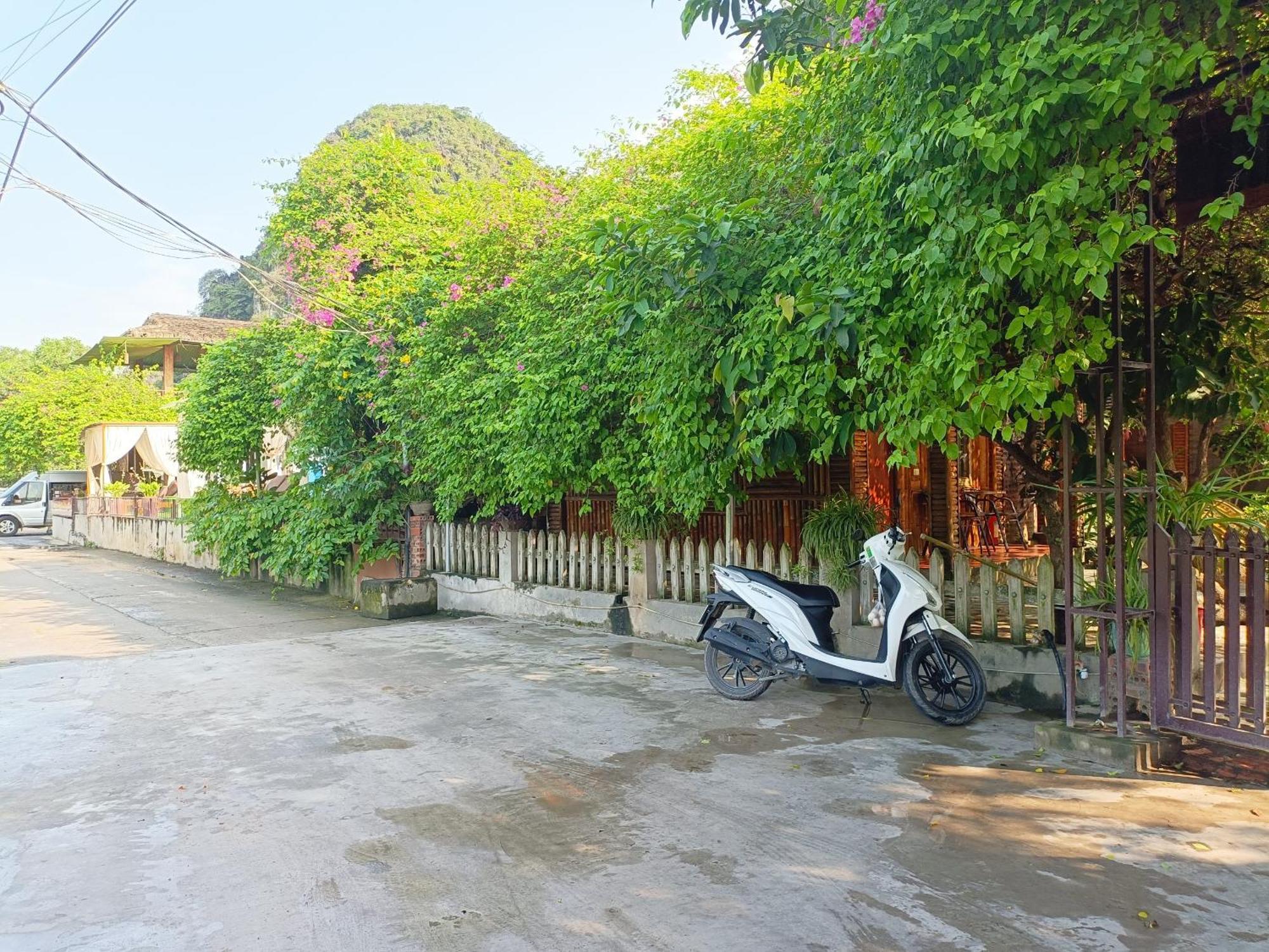 Tam Coc Sunshine Homestay Ninh Binh Bagian luar foto