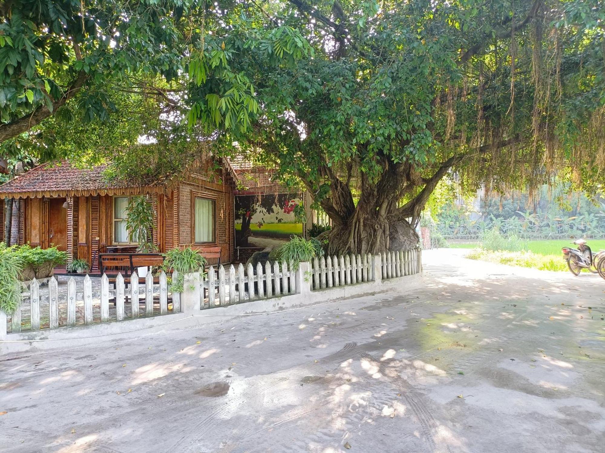 Tam Coc Sunshine Homestay Ninh Binh Bagian luar foto