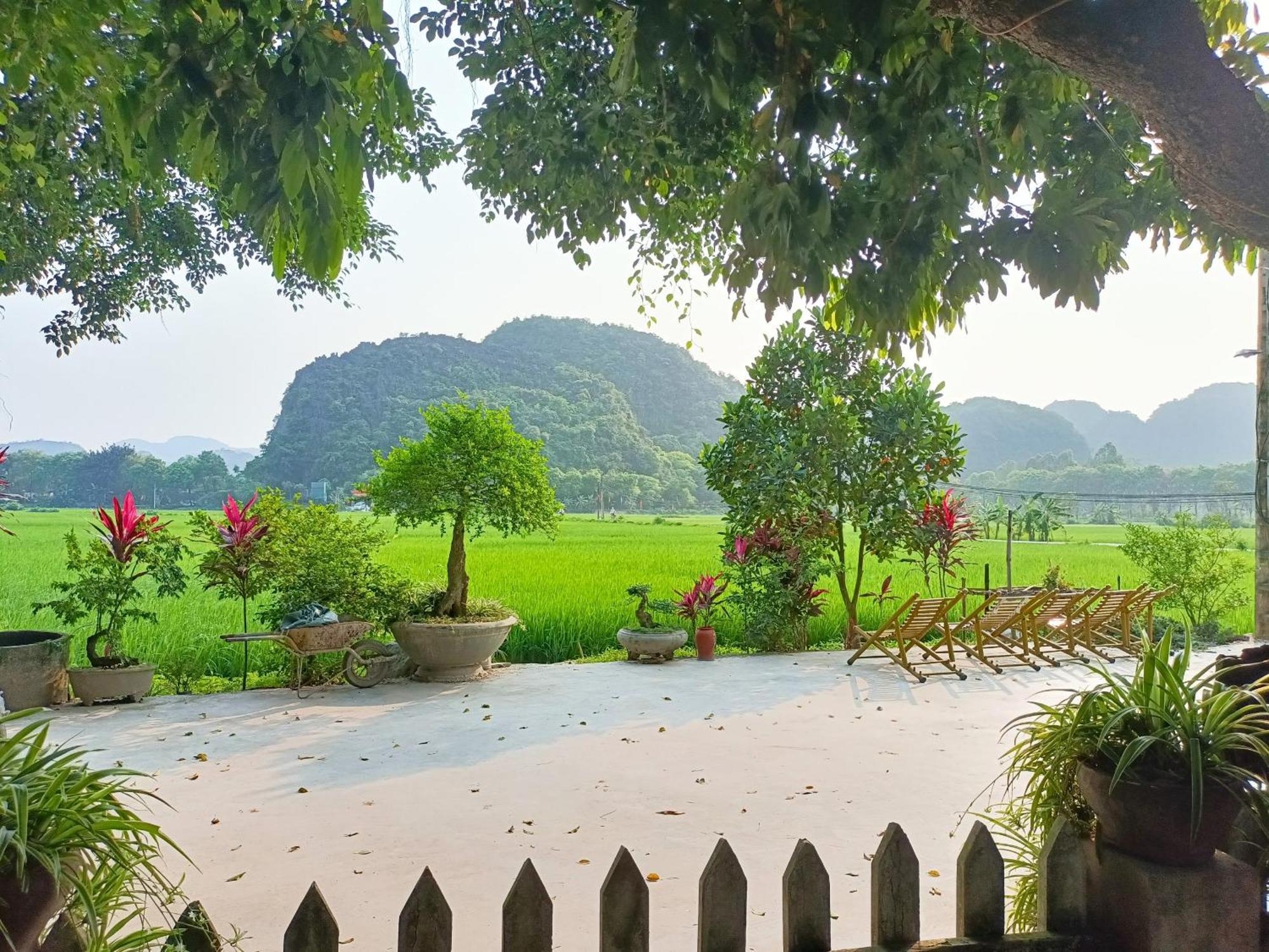 Tam Coc Sunshine Homestay Ninh Binh Bagian luar foto