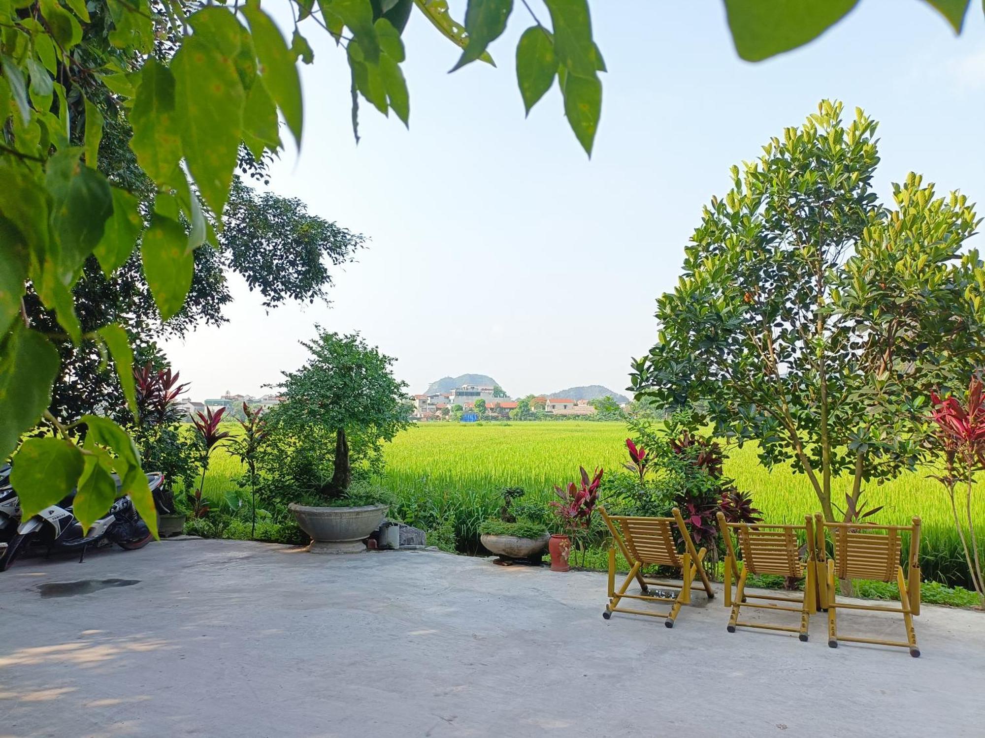 Tam Coc Sunshine Homestay Ninh Binh Bagian luar foto