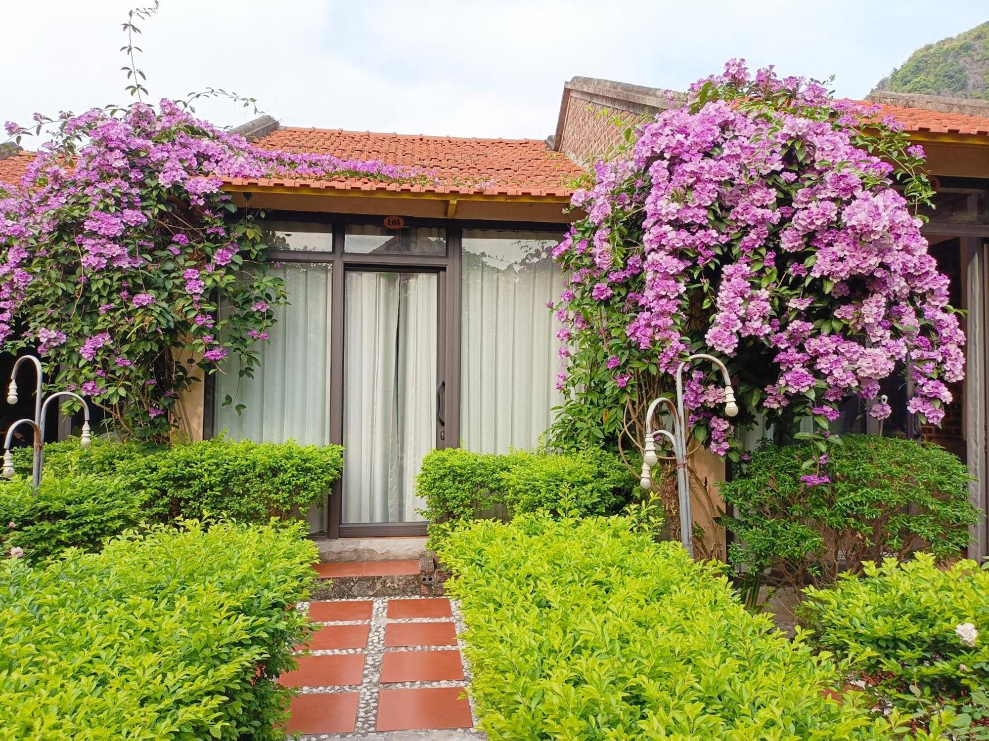 Tam Coc Sunshine Homestay Ninh Binh Bagian luar foto