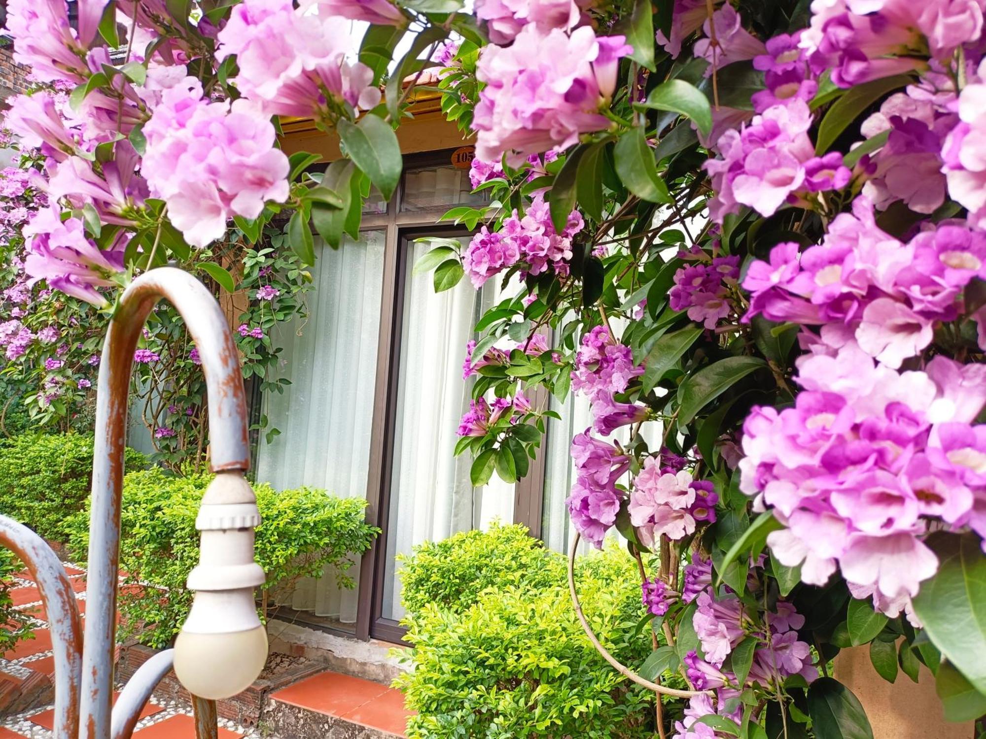 Tam Coc Sunshine Homestay Ninh Binh Bagian luar foto
