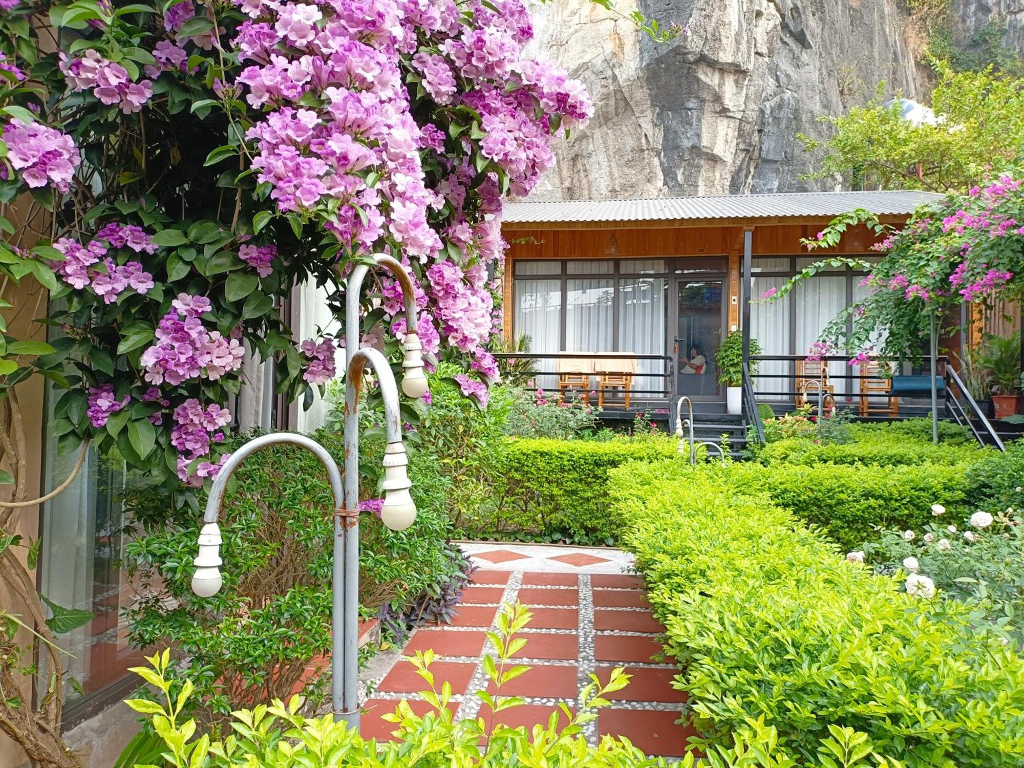 Tam Coc Sunshine Homestay Ninh Binh Bagian luar foto