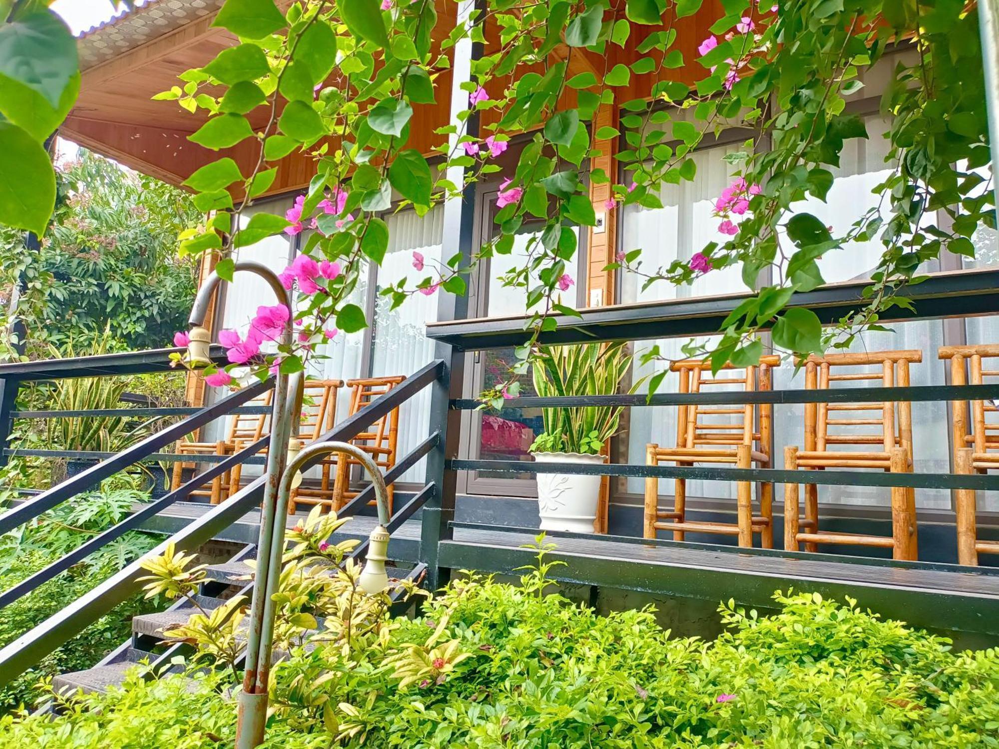 Tam Coc Sunshine Homestay Ninh Binh Bagian luar foto