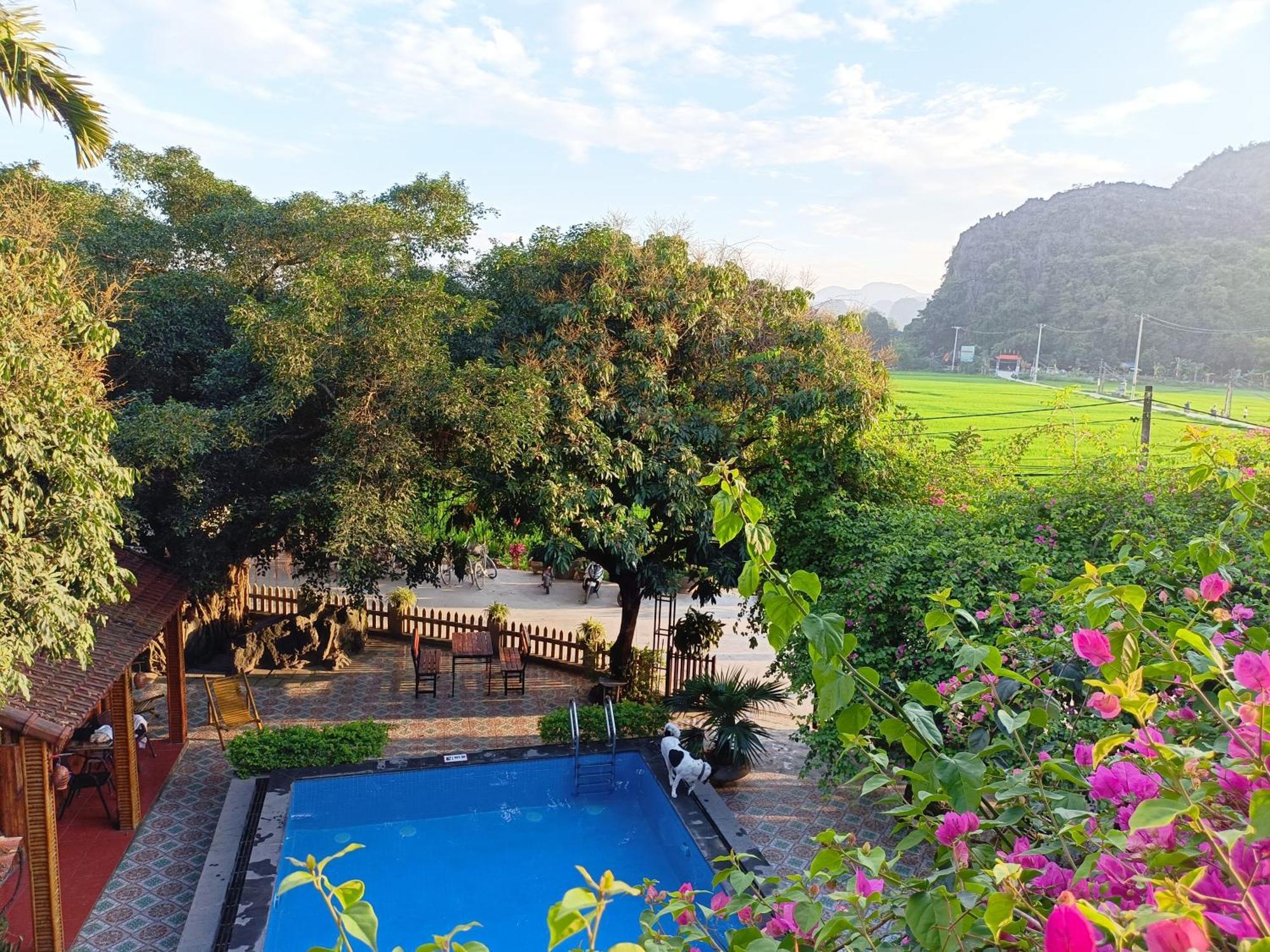 Tam Coc Sunshine Homestay Ninh Binh Bagian luar foto