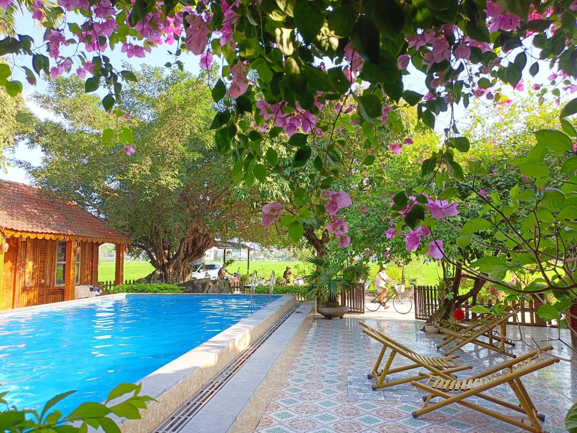 Tam Coc Sunshine Homestay Ninh Binh Bagian luar foto