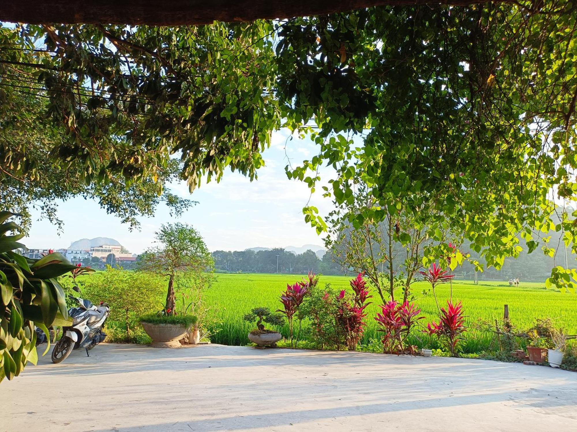 Tam Coc Sunshine Homestay Ninh Binh Bagian luar foto