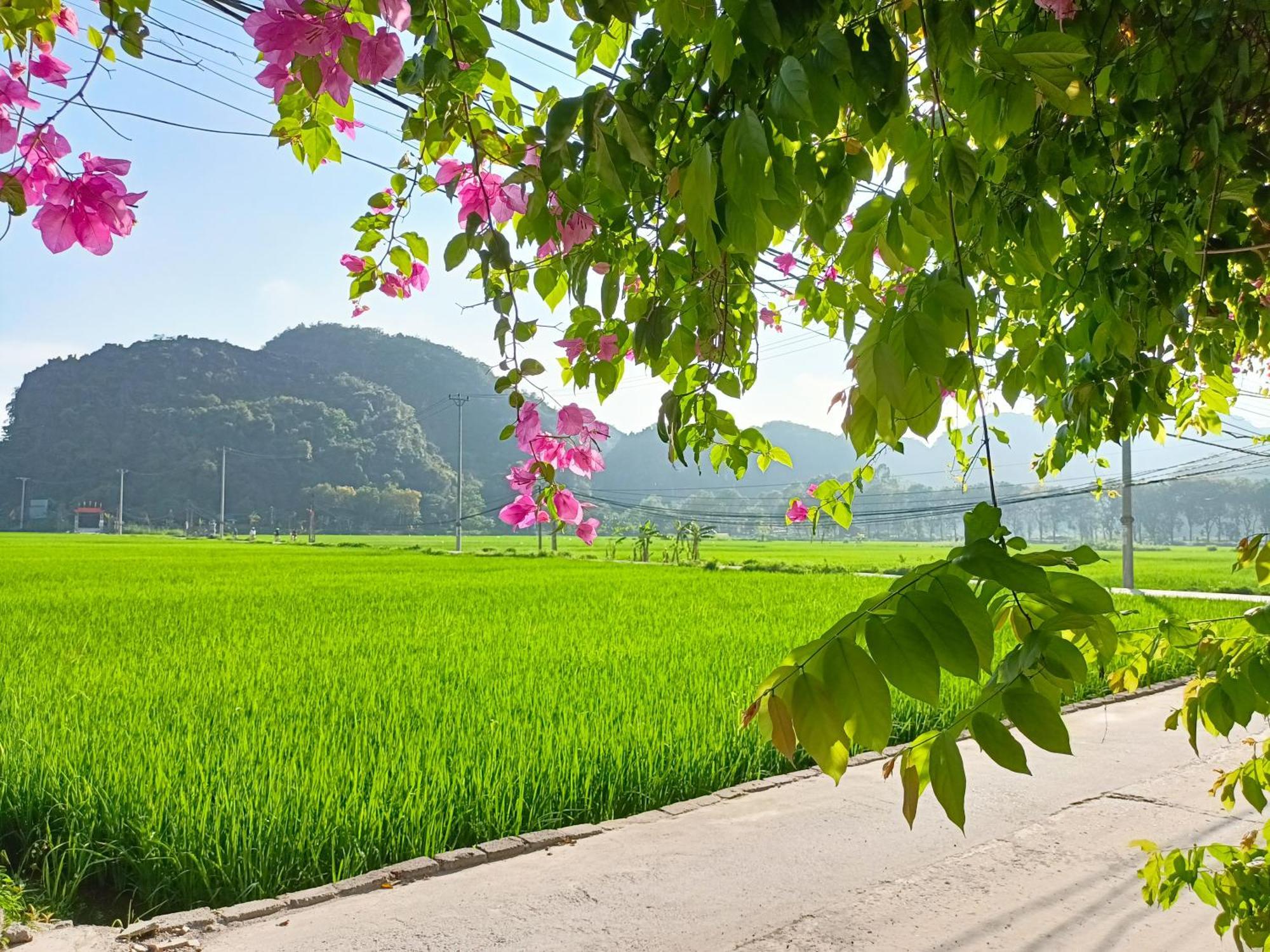 Tam Coc Sunshine Homestay Ninh Binh Bagian luar foto