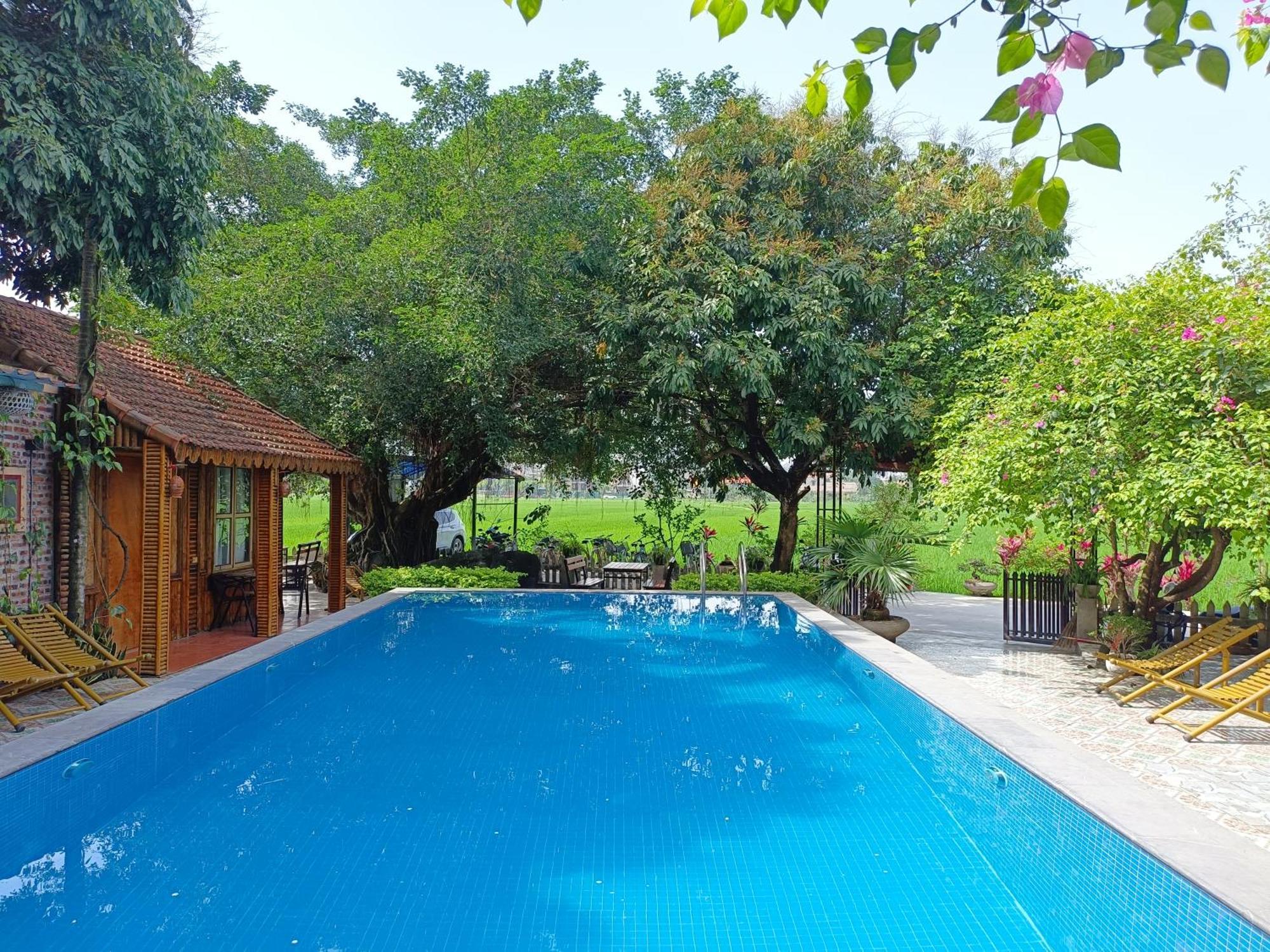 Tam Coc Sunshine Homestay Ninh Binh Bagian luar foto