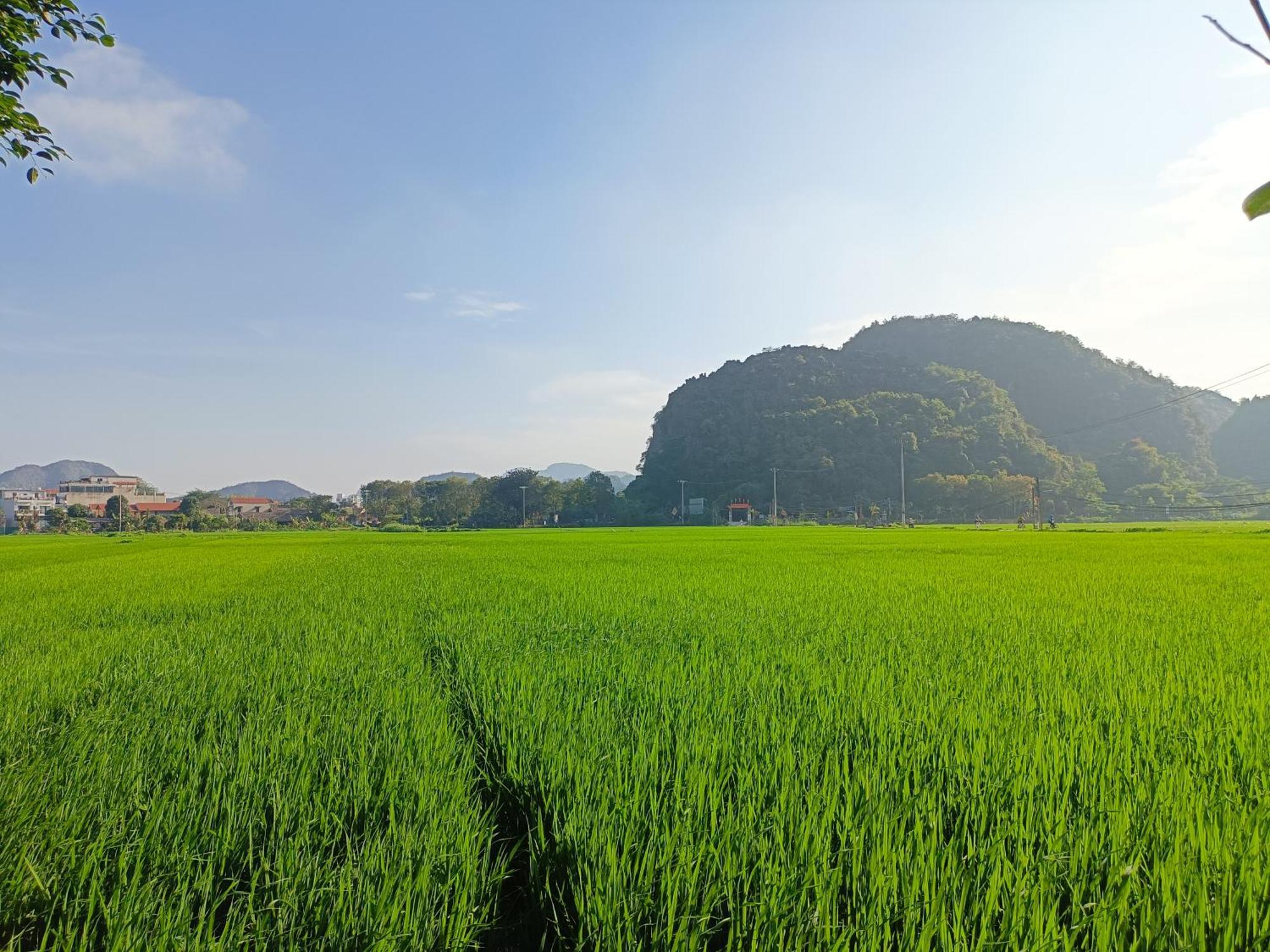Tam Coc Sunshine Homestay Ninh Binh Bagian luar foto